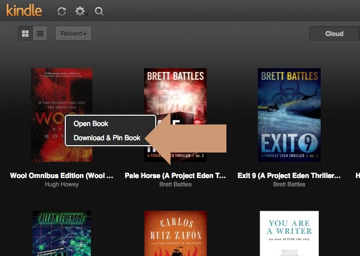 Kindle Cloud Reader - download and pin book