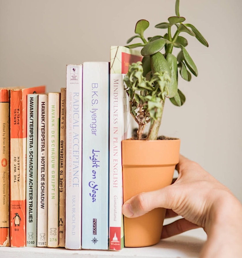 Living plant bookends from All Things Brighton Beautiful