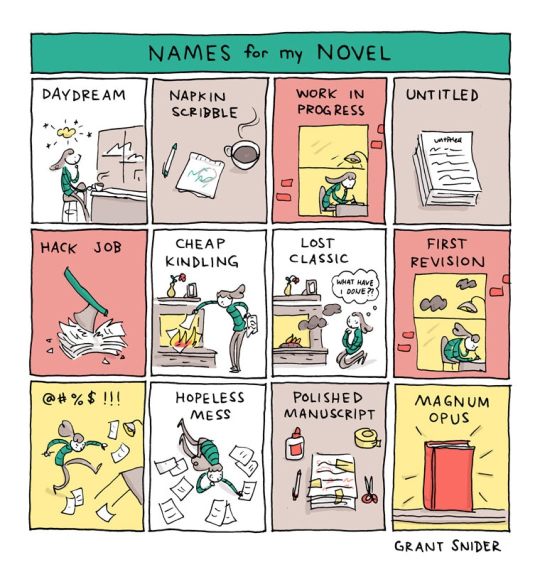 Name for My Novel by Grant Snider - best cartoons about literature