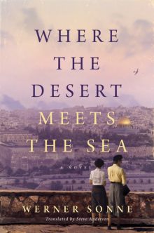 Where the Desert Meets the Sea - Werner Sonne